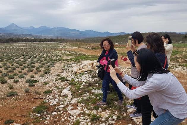 Private Authentic Family Farm to Table Tour From Dubrovnik and End in Split