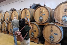Gardajärveltä: Koko päivän Valpolicella-viini- ja lounasopastettu matka