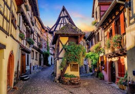 Alsace Colmar, medeltida byar och slott, liten gruppdagstur från Strasbourg