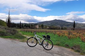 Excursão privada de bicicleta elétrica de dia inteiro pelos antigos vinhedos de Nemea