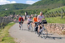 穿越阿尔萨斯葡萄园和葡萄酒村私人自行车之旅