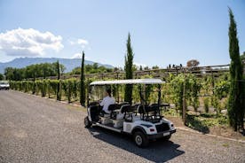 Skaldjurslunch med vinprovning & rundtur på en golfbil