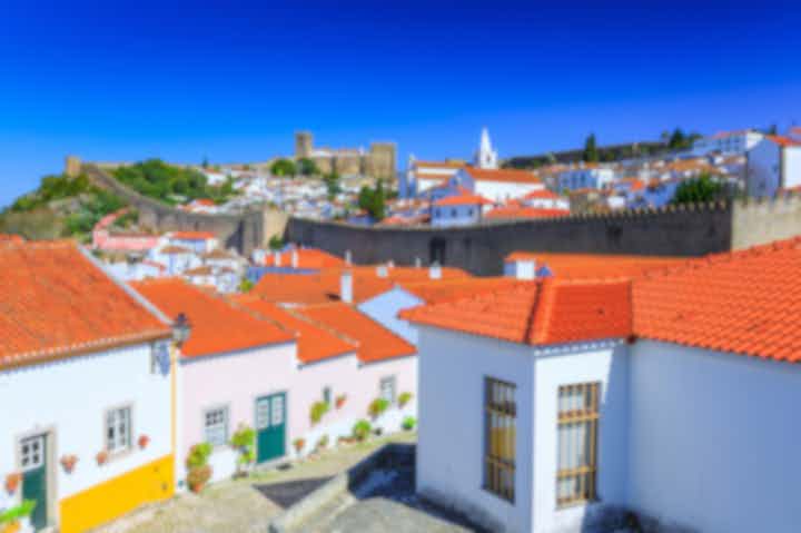 Отели и места для проживания в районе Лейрия (Португалия)