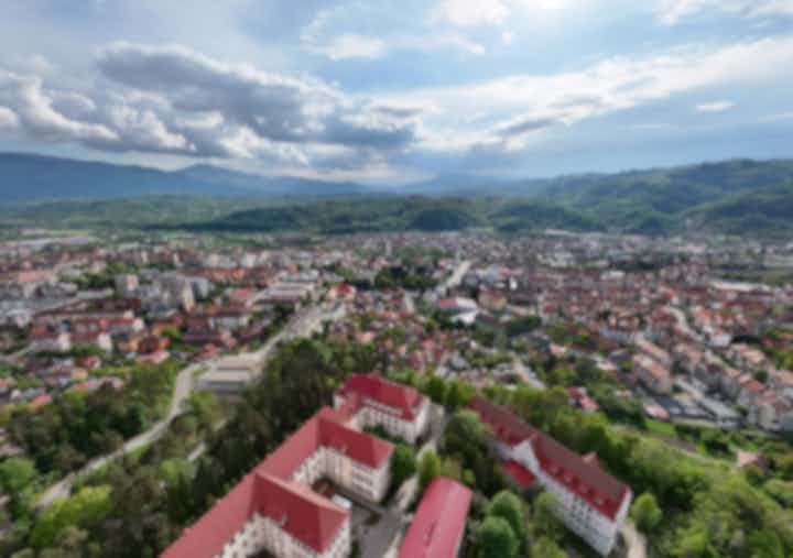Отели и места для проживания в Петрошани (Румыния)