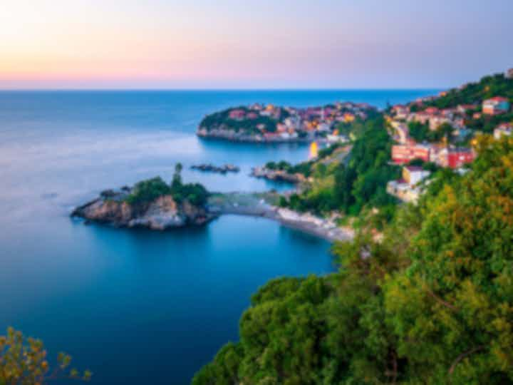 Vuelos a Zonguldak, Turquía