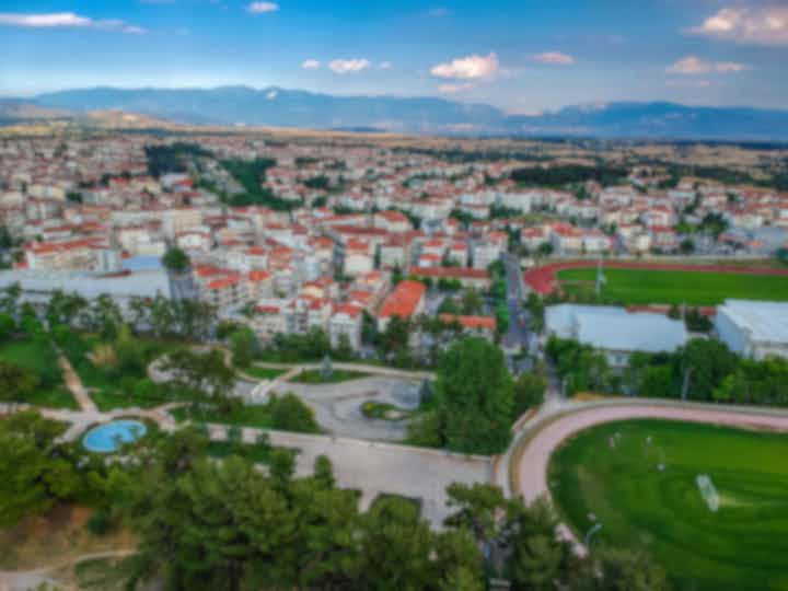Hôtels et lieux d'hébergement à Kozani, Grèce