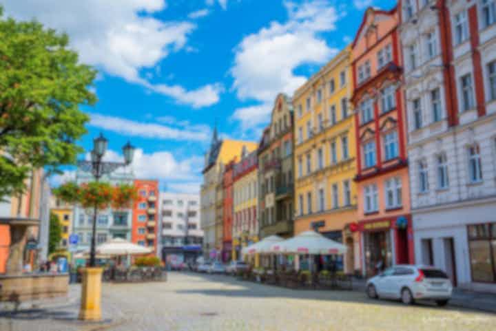 波兰位于斯维德尼察的度假出租公寓