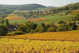 Burgund Bike Tour med vinsmagning fra Beaune