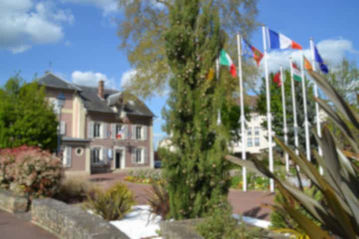 Отели и места для проживания в Даммари-ле-Лис (Франция)