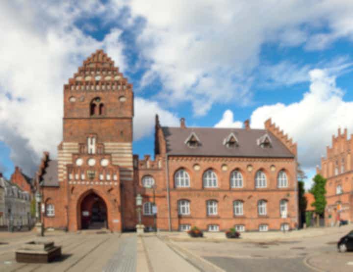 Отели и места для проживания в Роскилле (Дания)
