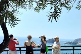 Ischia privat dags stressfri tur fra Sorrento
