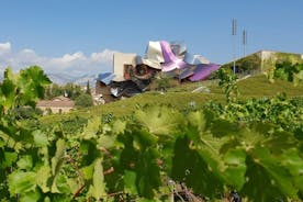 リオハ ワイン ツアー : パンプローナの 2 つのワイナリー