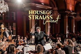  Konsertshow och museumsbiljett i House of Strauss