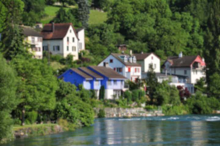 Отели и места для проживания во Флюрлингене (Швейцария)