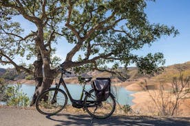 Halvdagers liten gruppe el-sykkeltur i landlige Algarve med lunsj