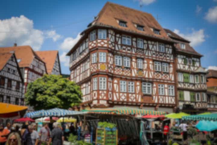 Hoteller og steder å bo i Mosbach, Tyskland