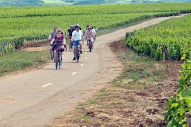 1 journée en vélo électrique et visite viticole en Côte de Nuits
