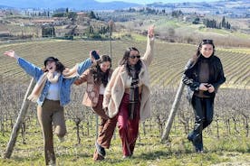 Visite des vignobles du Chianti avec déjeuner toscan et San Gimignano
