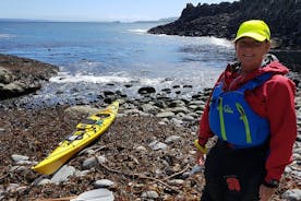 Kayak de mer sur la côte de la chaussée des géants