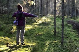 背包旅行者赫尔辛基之旅在国家公园的远足经历