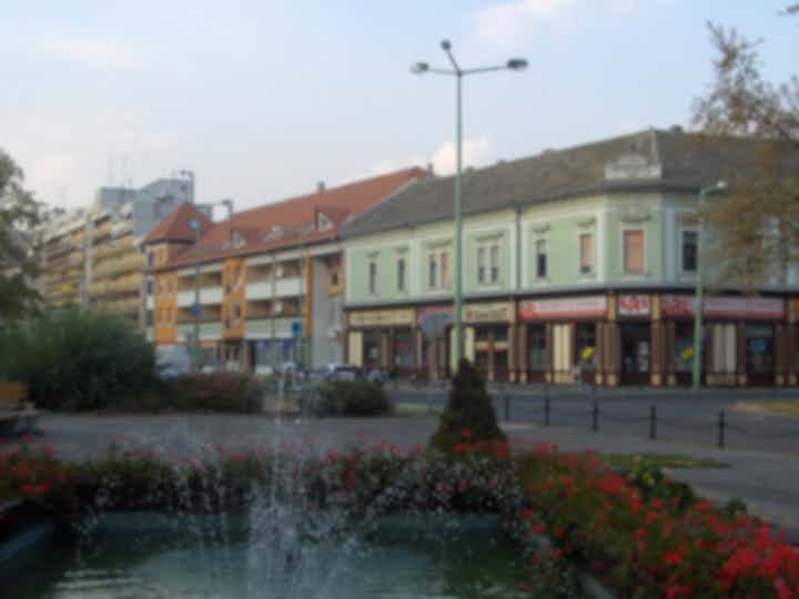 Hotellit ja majoituspaikat Orosházassa, Unkarissa