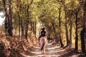 Horse riding in the vineyards of Grimaud + wine tasting