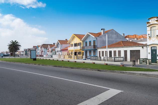 Photo of typical houses of Aveiro, Aveiro district, Ilhavo, Portugal.