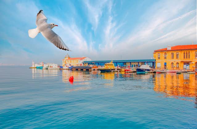 Photo of Pasaport District is popular tourist attraction with seagull - izmir, Turkey.