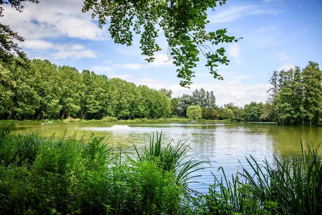 Photo of Lake in Provinciedomein Kessel-Lo in Belgium.