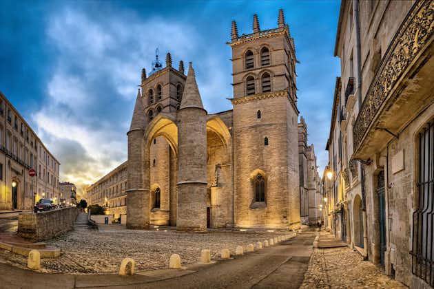Gothic Cathedral of Saint Peter at dusk in Montpellier, France