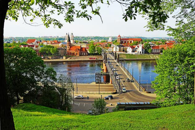 Photo of view of Kaunas from the observation deck under an oak.