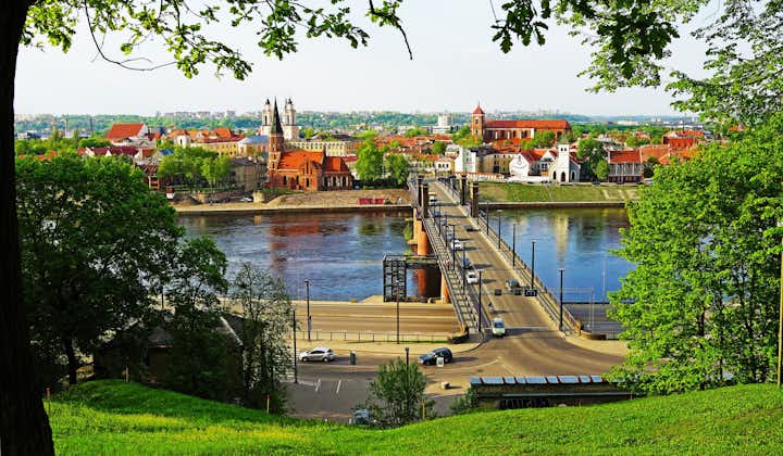 Photo of view of Kaunas from the observation deck under an oak.