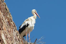 Excursion d'une journée complète Le meilleur de l'ouest en Algarve - Visite privée