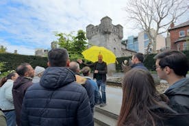 Story of Dublin Shared Tour with Guide