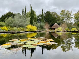 University of Bristol Botanic Garden