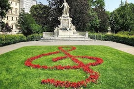 Det historiske centrum af Wien: Privat tur inklusive Mozarthaus