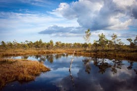 Tourbières et centres de villégiature à Jūrmala