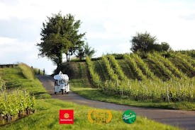 Visite panoramique et dégustation des vignobles de Genève en Tuk Tuk électrique