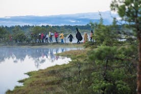 Excursión de un día a Magical Bog Shoe Walking tour