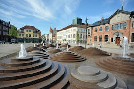 Odense Kommune - town in Denmark