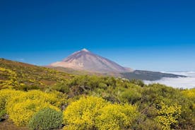 在特内里费岛泰德火山周围的月球上行走