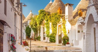 8-Day Tour of Puglia, Italy 