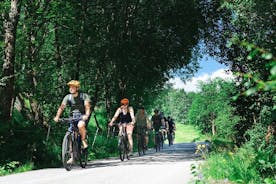 Passeio guiado de bicicleta elétrica em Olden