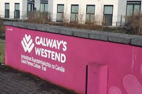 Excursão e degustação gastronômica de Galway