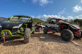 VIP Buggy Tour Off Road in Benidorm 