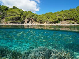 Cala Rostella