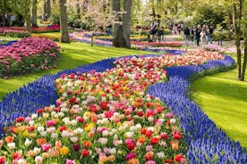 Day Trip to Keukenhof Gardens from Amsterdam with Tour Guide