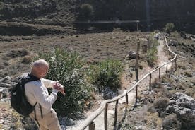 Private Hiking Tour in Imbros Gorge (Chania)