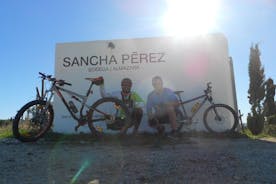 Excursão de bicicleta de montanha Conil de la frontera Excursão de bicicleta de vinho