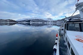 Tromsø-Fjord & Angeln